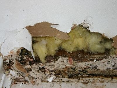 Professional water damage restoration services in West Covina - Sylvindor Apex